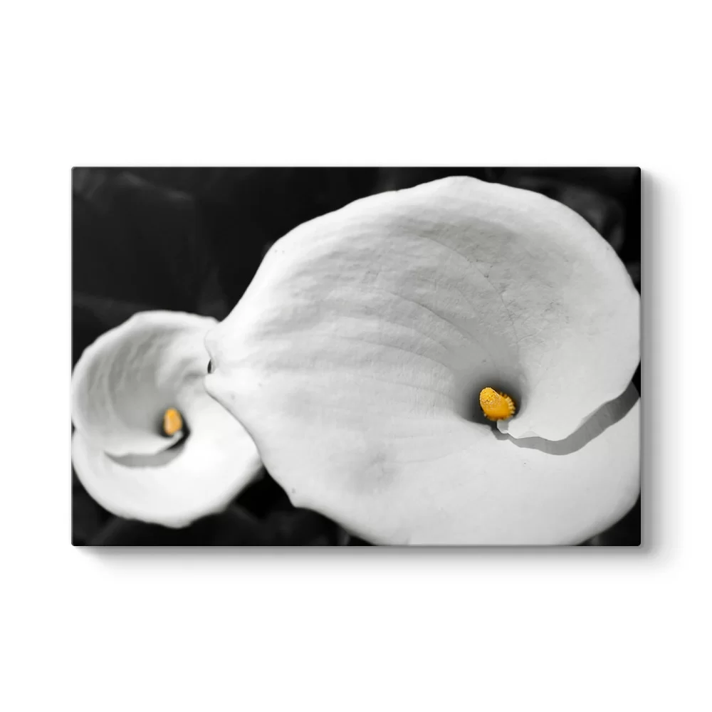 Calla Zambaklar Tablosu - Model 1